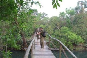 Racyshade Resort- Bardia National Park, Bhurkia