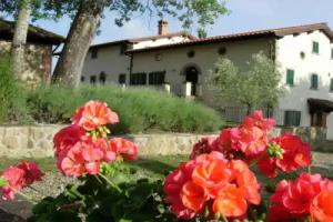 Fattoria di Belvedere, Poppi