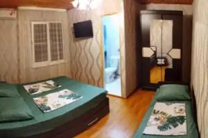 Guest House on Rechnaya 14G, Ldzaa