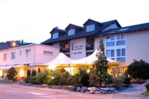 Hotel Felmis, Lucerne