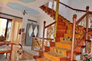 Sun City, Kato Daratso