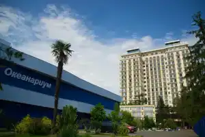 KORONA Premium, Adler