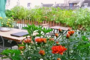 Shengshengman Hostel, Suzhou