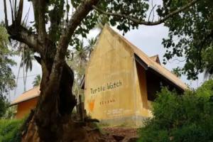 Turtle Paradise, Tangalle