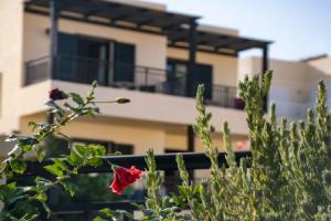 Anastasia Hotel Stalis, Stalis