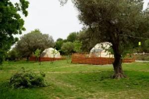 Teos Glamping S??ac?k, Sigacik