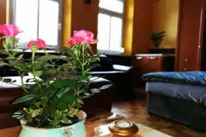 Lehel Apartman, Keszthely