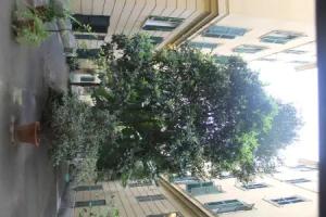 Rovati Guest House, Rome