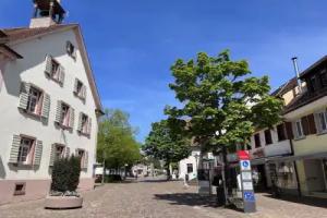 Straßburg Hotel, Kirchzarten