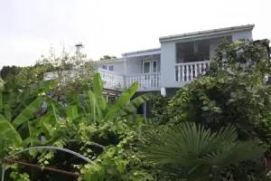 Hitas house, Chakvi