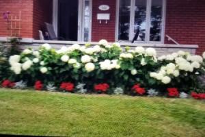 Gite du Passant Rosedort 1 Hotel, Trois-Rivieres