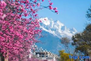 Chang Lou · Guixin Zhu | Landscape Art · Garden-Style Vacation Villa (Shuohu Ancient Town Branch), Lijiang