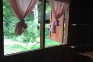 Rasta House, Koh Phayam