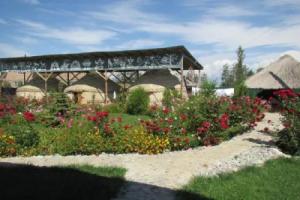 Happy Nomads Yurts & Hostel, Karakol