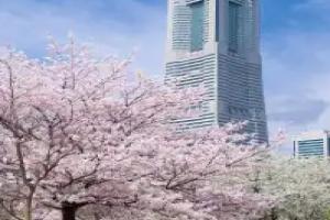 THE KAHALA Hotel & Resort YOKOHAMA, Yokohama