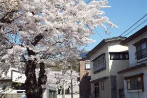 Tsubakikan, Aomori