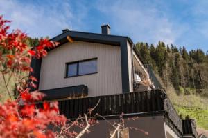 City Fischer Design Apartment, Schladming