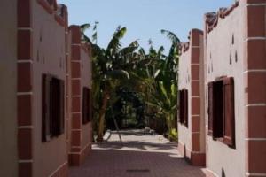 Al Baeirat hotel, Luxor