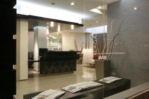 Hotel Guadalmedina, Malaga