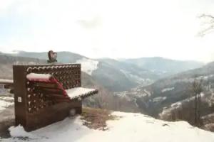 Bergvital Hotel Todtnau, Todtnauberg