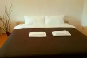 A network of guest apartments on Sovetskaya street 9, Balashikha