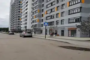 Apartments on Alexander Pushkin Street