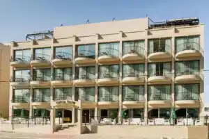 Olivia Palm Hotel