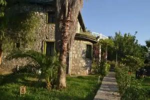 Otantik Tas Ev Hotel, Sarigerme