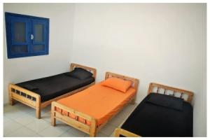Sinai Gate Adventure Hostel, Dahab