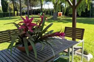 Hotel Riva Etrusca, Marina di Bibbona