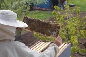 Guesthouse Feel Lake, Virpazar