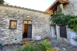 Villa Grassina 11928, Pelago
