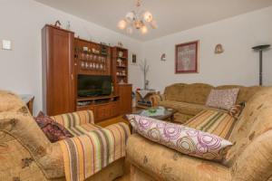 Apartment Anica, Tice