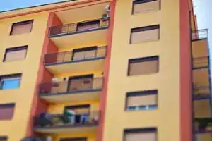 Five Rooms, Brolo