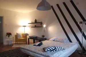 Cross the Road and Feel the Spark and be the Family Zebra Part Hotel, Zagreb