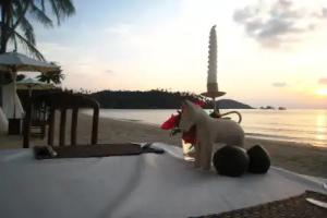 Seavana Beach Resort, Mak