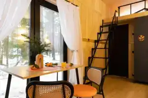 Eliza Home Guest house in Sosnobrazdole, Vsevolozhsk