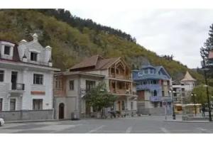 Borjomi Park Guest House, Borjomi