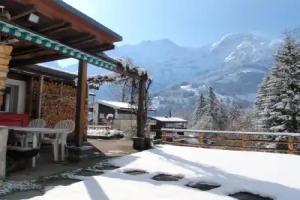 Schwalbe in Hotel, Adelboden