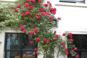Apple Tree Cottage - discover this charming canal home in our idyllic garden, Gouda