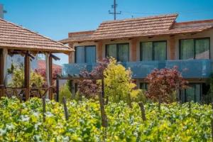 Giuaani Winery Hotel, Sagarejo