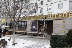 Ismail street apartment, Chisinau