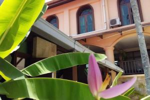 D'Feringghi Haus Hotel & Restaurant, Batu Ferringhi