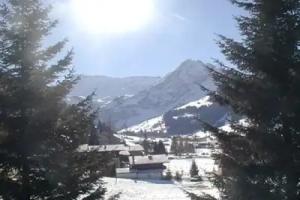 La Sauterelle 12589 Hotel, Adelboden