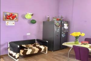 Hostel i tochka, Sochi