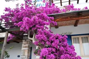 Brothers Hotel, Ios Chora