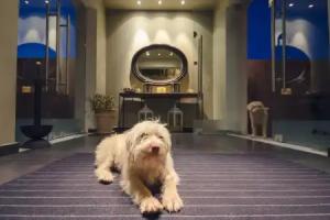 Perivoli Country Hotel & Retreat, Nafplio