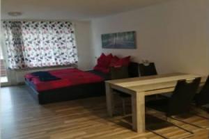 Tolle 1 Zimmer Ferienwohnung mit super Aussicht Apartments, Enzklosterle