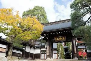 TAKAYAMA STAY SAKAKI Building B Mini-hotel, Takayama
