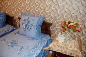 Excellent Hostel Kutaisi, Kutaisi